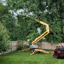 Best Pest Control for Lawns  in Sisco Heights, WA